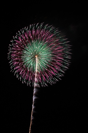 打ちあがって咲いた瞬間の赤と緑の花火の写真