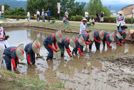 笠を被り、もんぺを着た作業者たちが田植えをしている写真