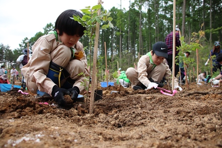 小学生の男の子二人が森に広葉樹の苗を植えている写真