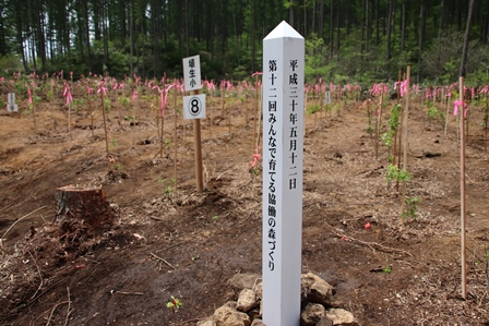 森に植えられたたくさんの苗と添え木と目印の看板の写真