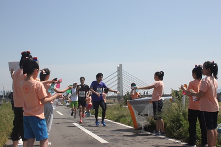 ハーフマラソンを走る選手たちと沿道のピンクのTシャツを着た大会スタッフの写真