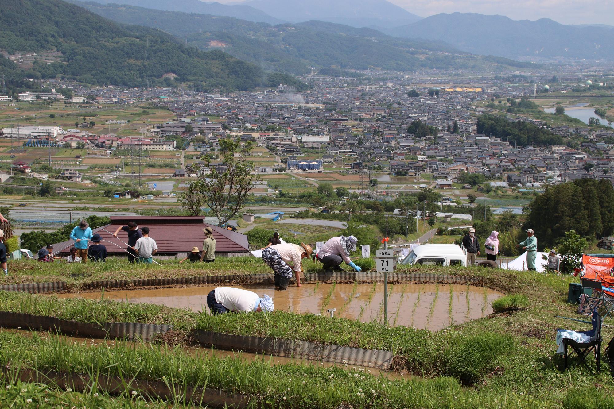 棚田オーナー制度の田植えの様子