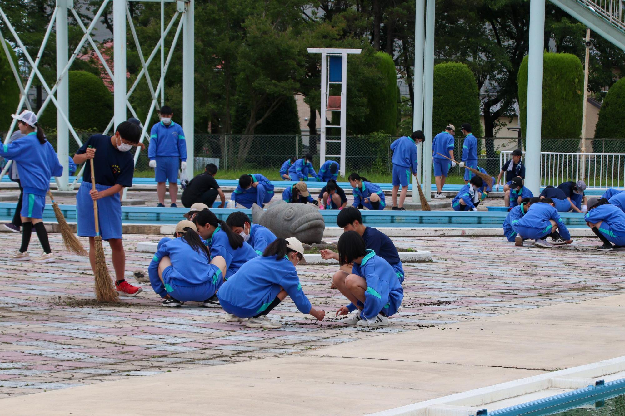 市民プールの清掃をする埴生中学校生徒2
