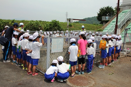 屋外のフェンスから排水の仕組みなどを観察する生徒たちの写真