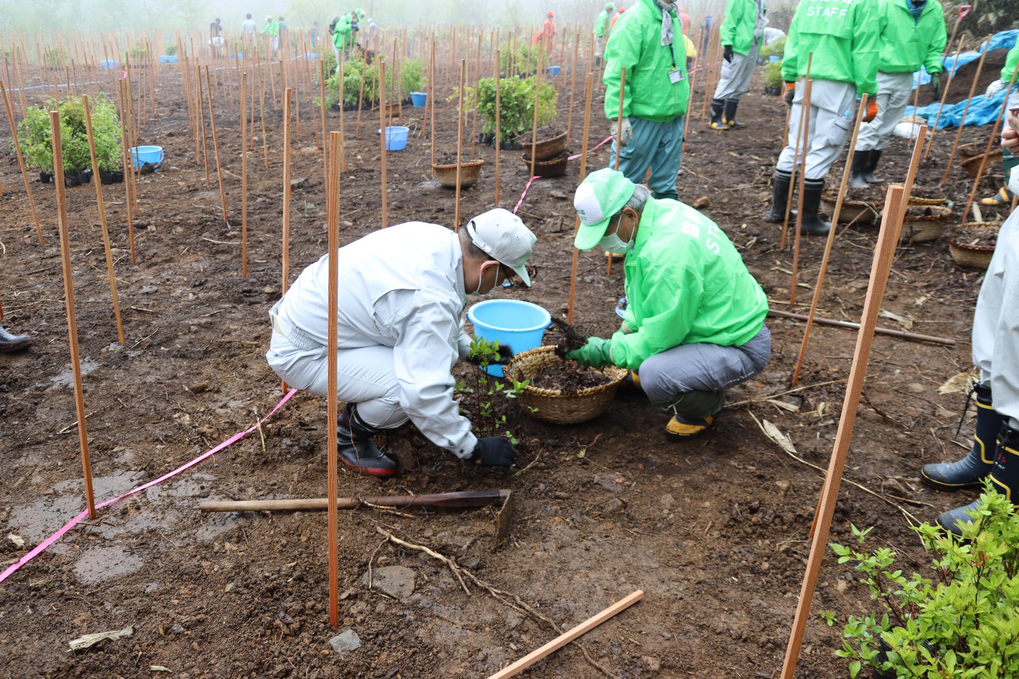 小川市長が苗木を植える