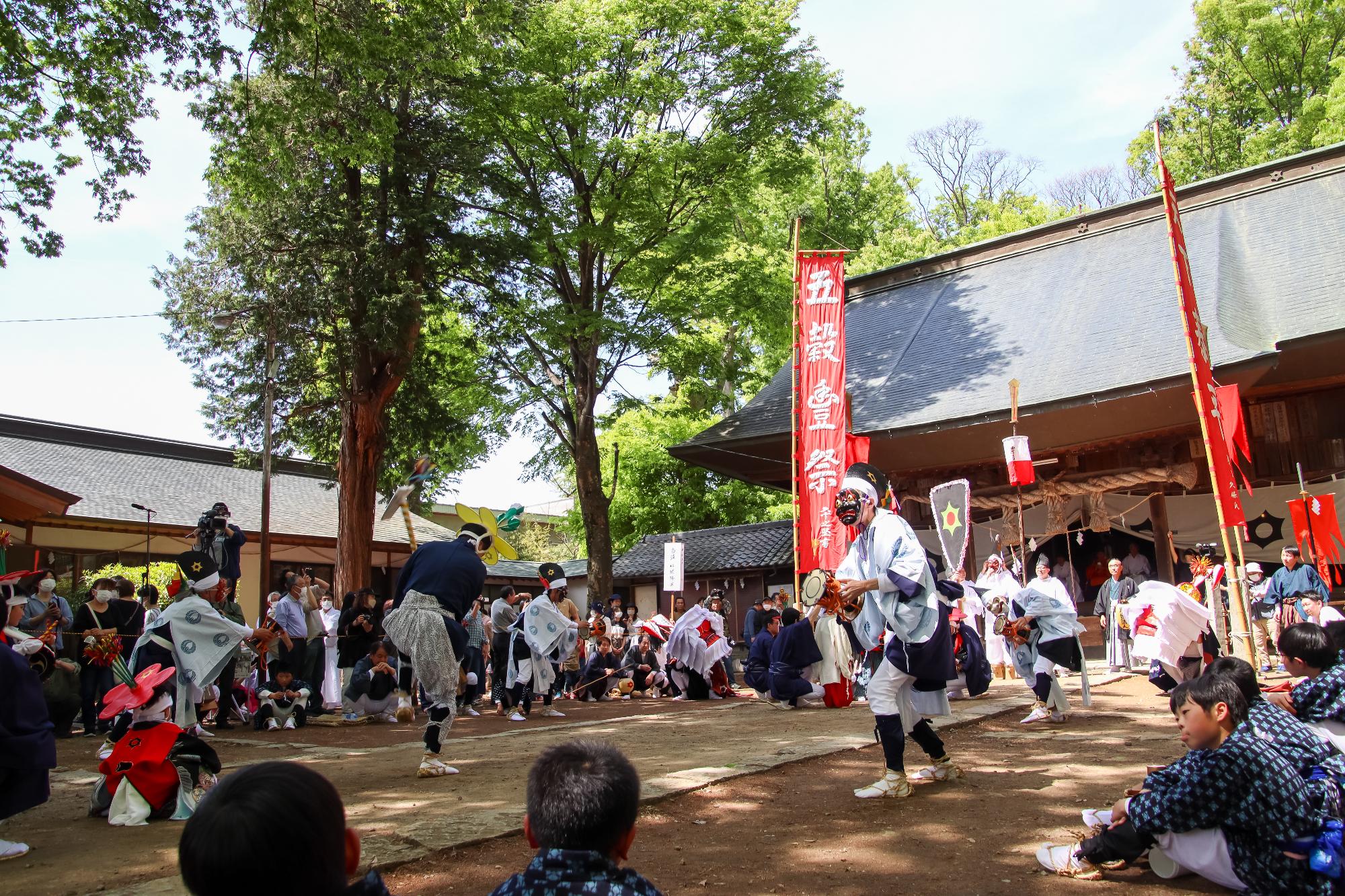 踊りが披露される